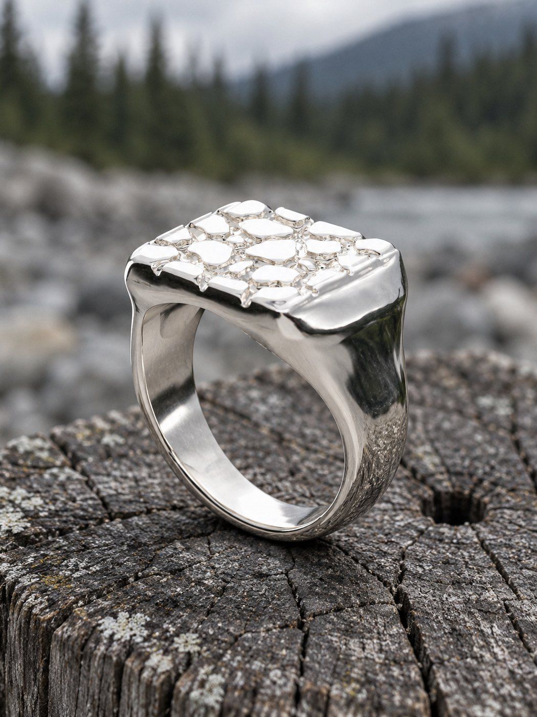 Signet L No. 401 in sterling silver, still life on weathered stone and wood