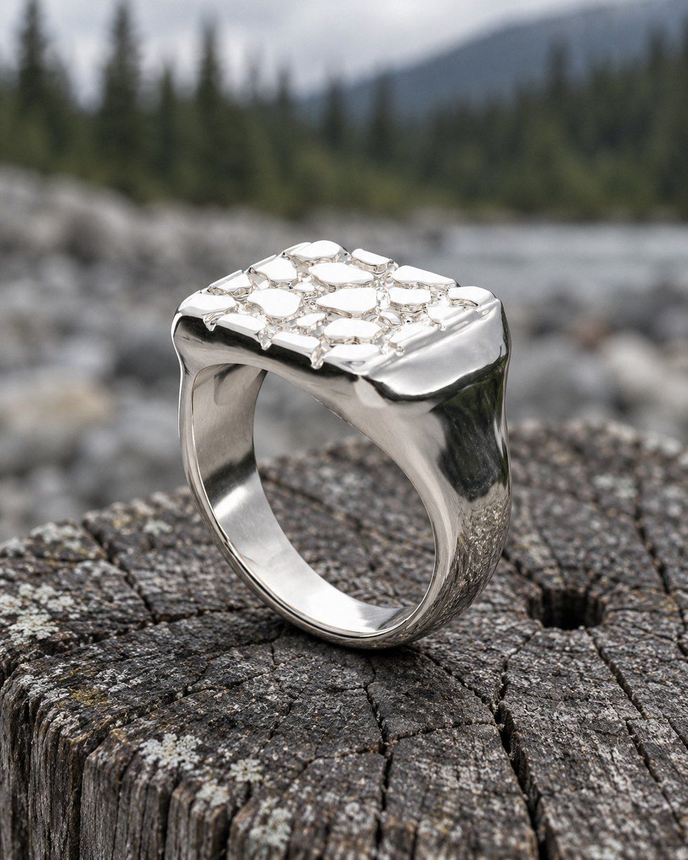 Signet L No. 401 in sterling silver, still life