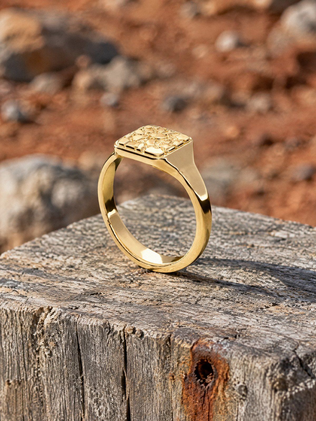 Signet S No. 430 in solid 14K gold, still life on weathered stone and wood