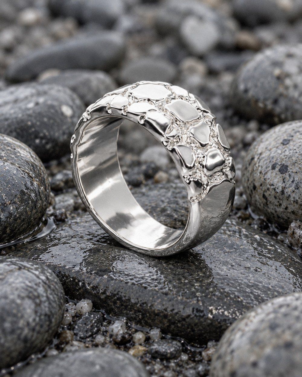 Riverbed No. 507 in sterling silver, still life