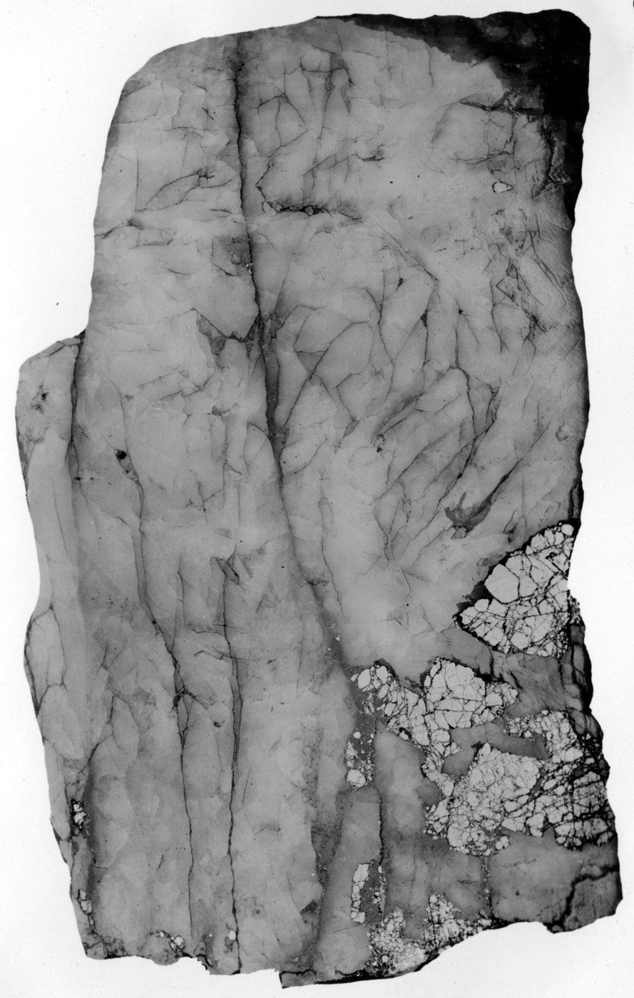 Black and white photograph of a polished slab of pale quartz crossed by dark lines, with a cluster of broken bright crystals at one edge